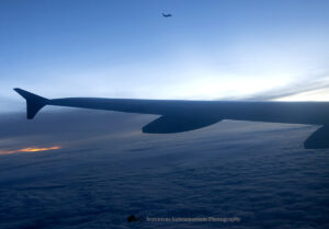 Early Morning Wingview