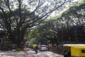 Climate Change Affecting Bangalore
